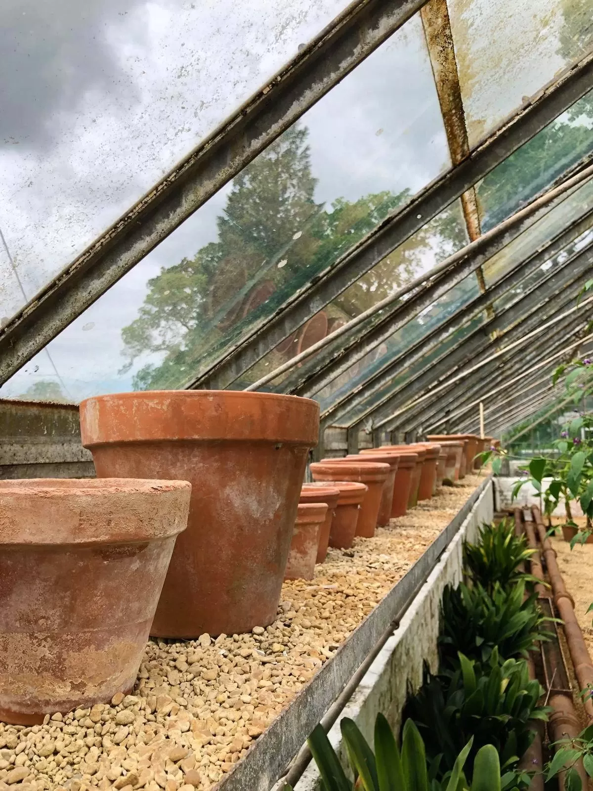 Victorian Gardens Tyntesfield