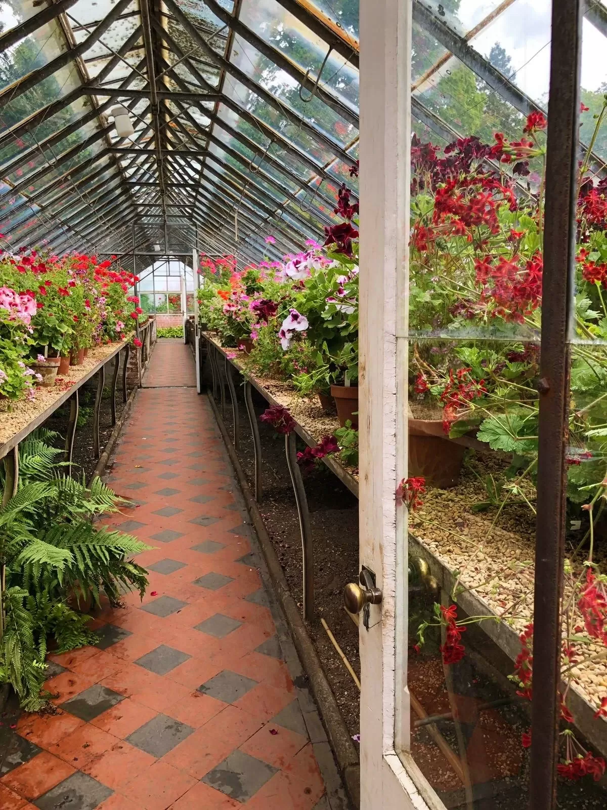 Victorian Glasshouse National Trust