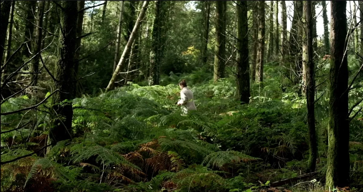 fairyland cottage ireland