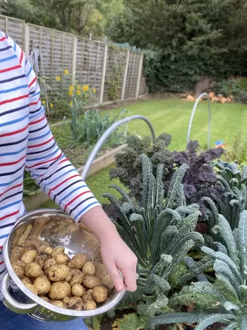 sustainable vegetable gardening and urban homesteading