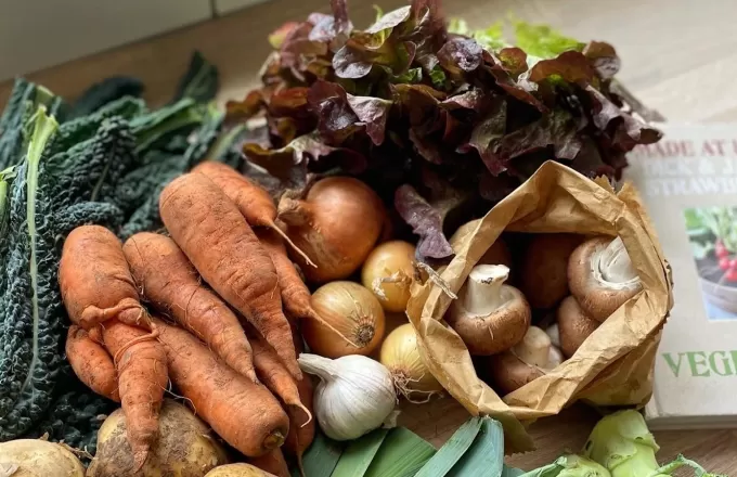 How to start meal planning: a housewife's guide