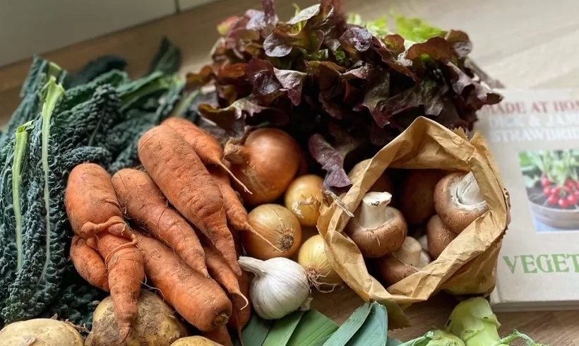How to start meal planning: a housewife's guide