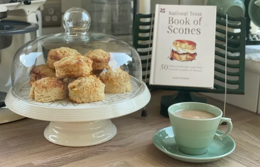 Cheese scone recipe