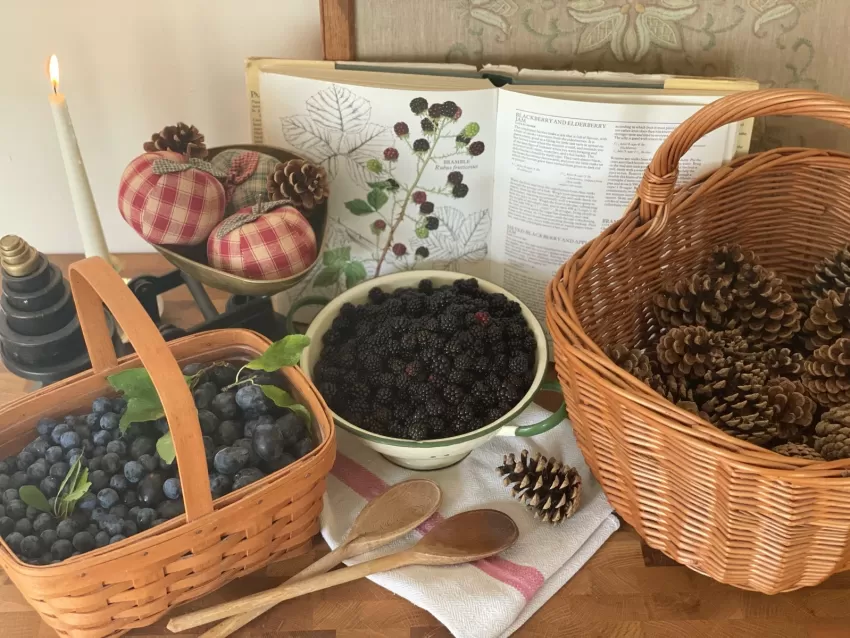 Traditional foraged sloe fruit Gin recipe