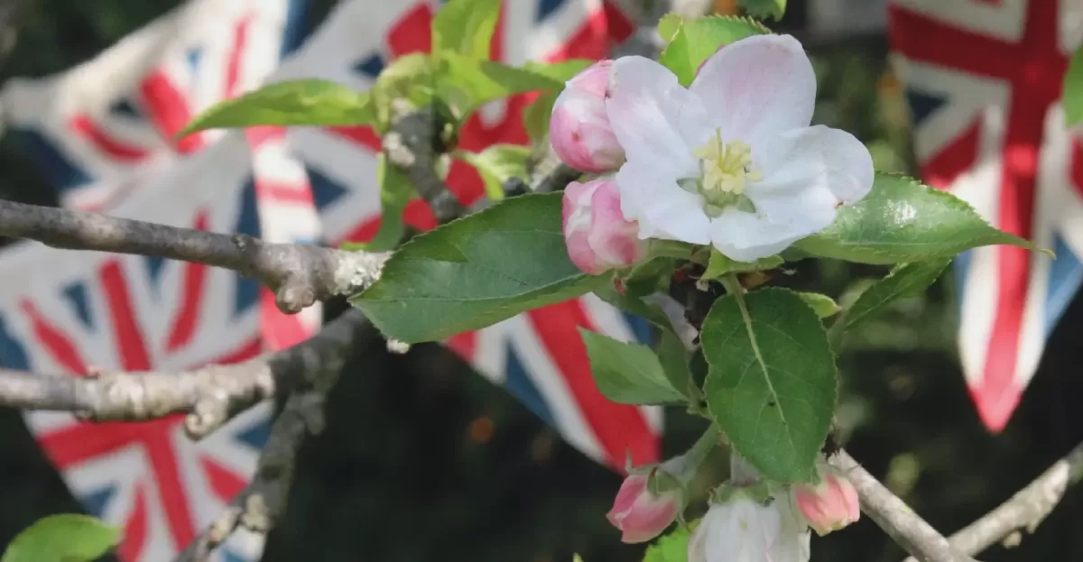 English Country Garden May