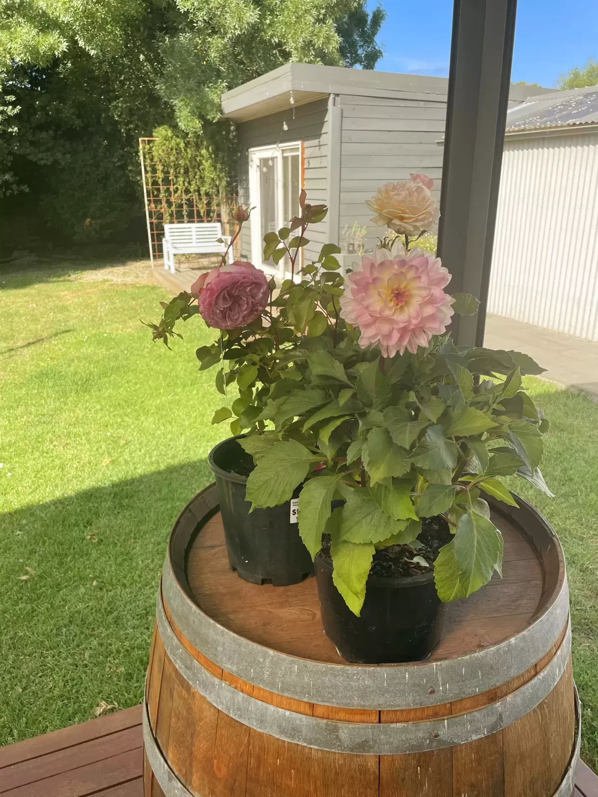 Homemaking_blog_australia