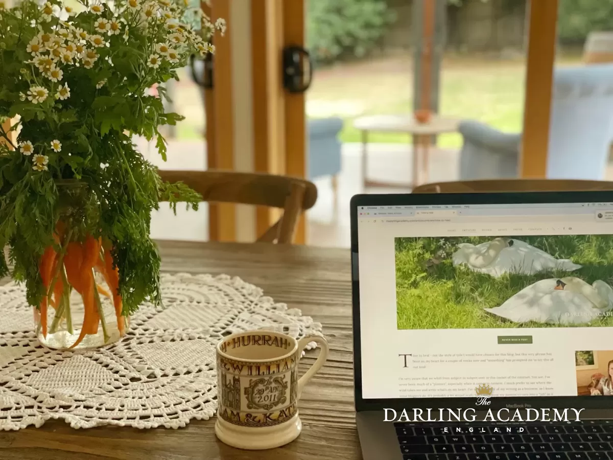 Wholesome Lifestyle Blog