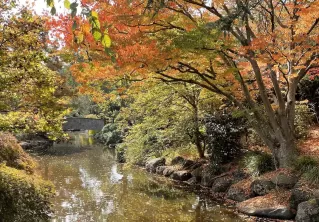 Early Autumn Days