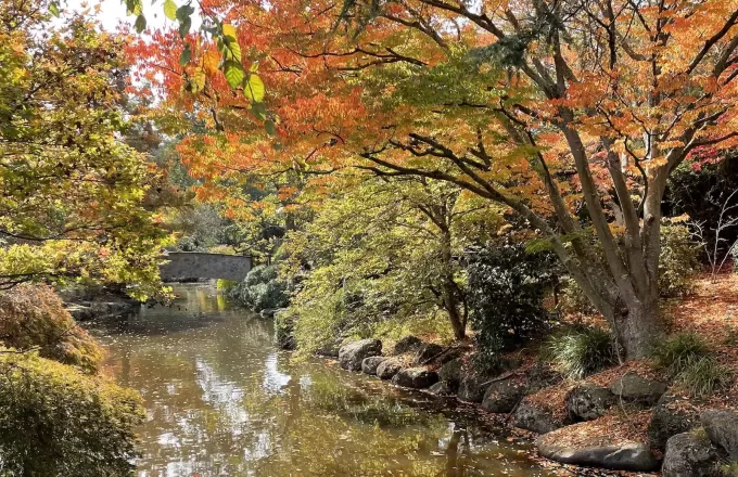 Early Autumn Days