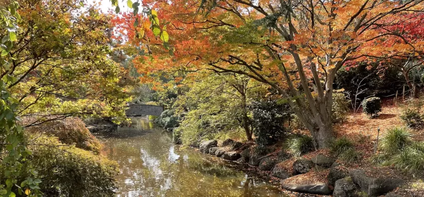 Autumn In Australia