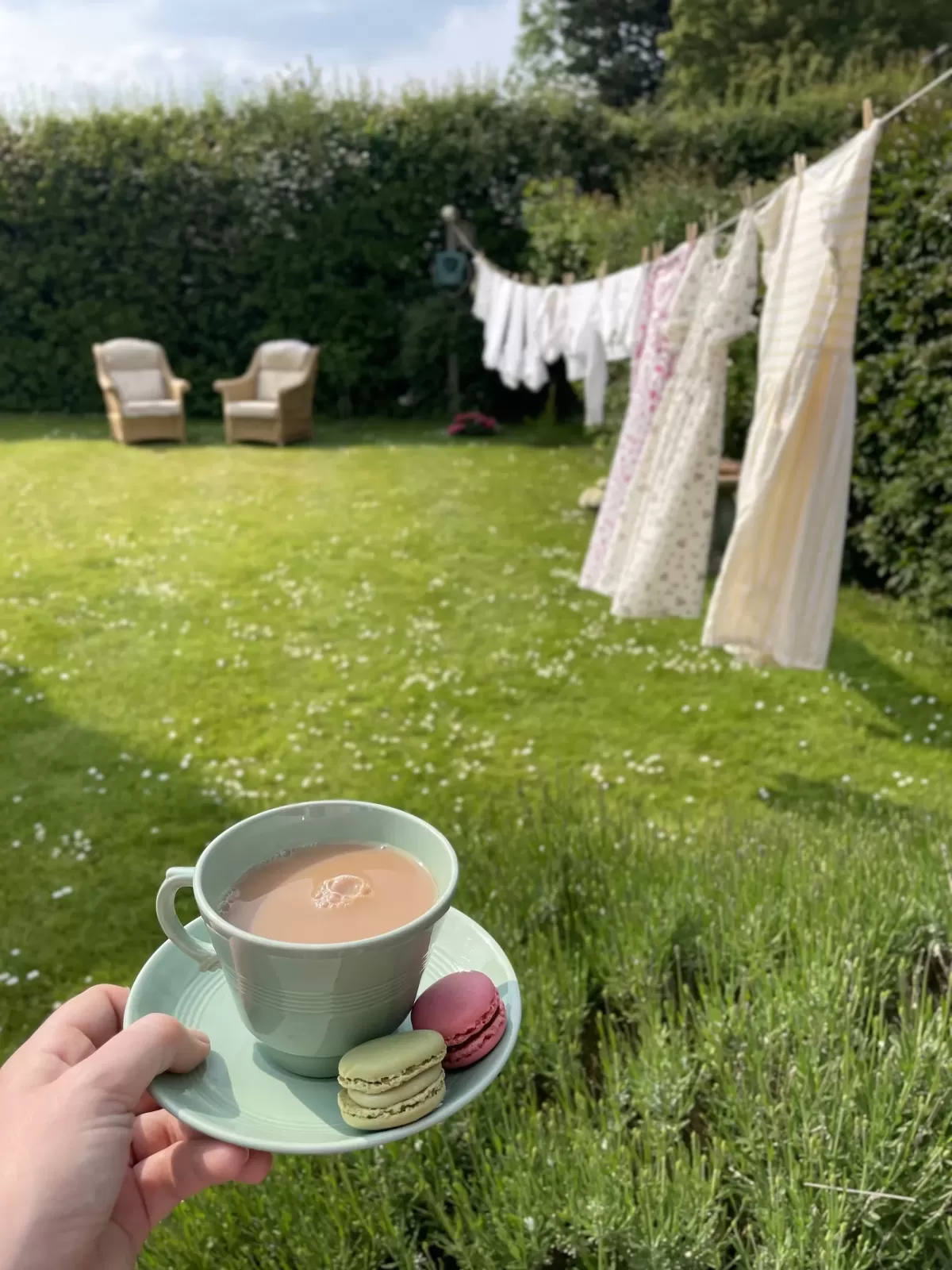 Washing Line Laundry