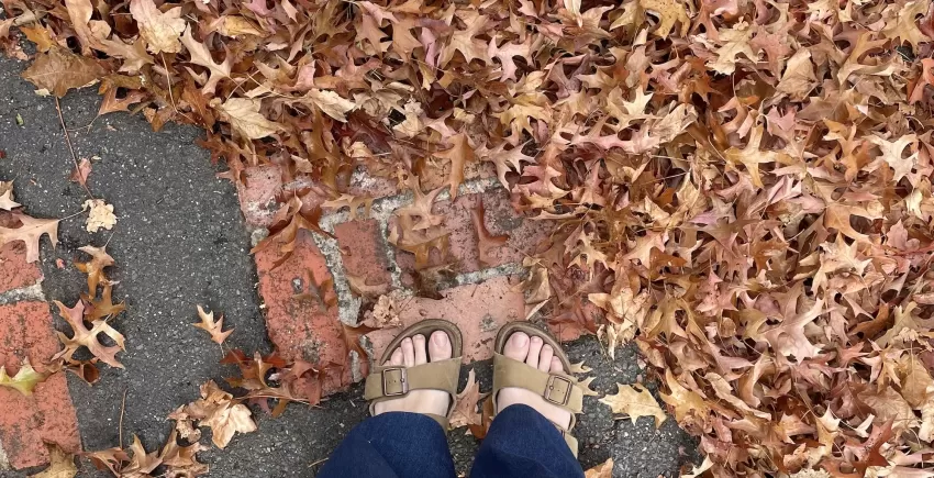 Autumn Easter Australia
